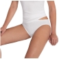 Preview: Bikinislip 3er Pack von Pompadour, 7730-054