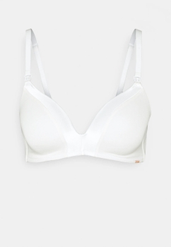 Dorina ECO Doppelpack gefütterter BH Dove ohne Bügel aus Bio Baumwolle