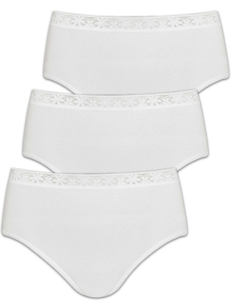 Pompadour 3er Pack Taillenslip aus Single Jersey - in 3 Farben 8220-015