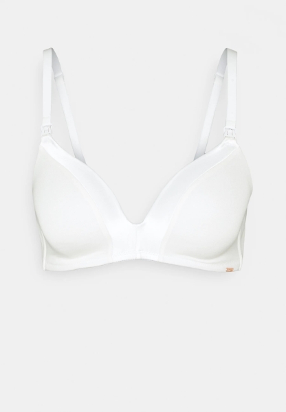 Dorina ECO Doppelpack gefütterter BH Dove ohne Bügel aus Bio Baumwolle